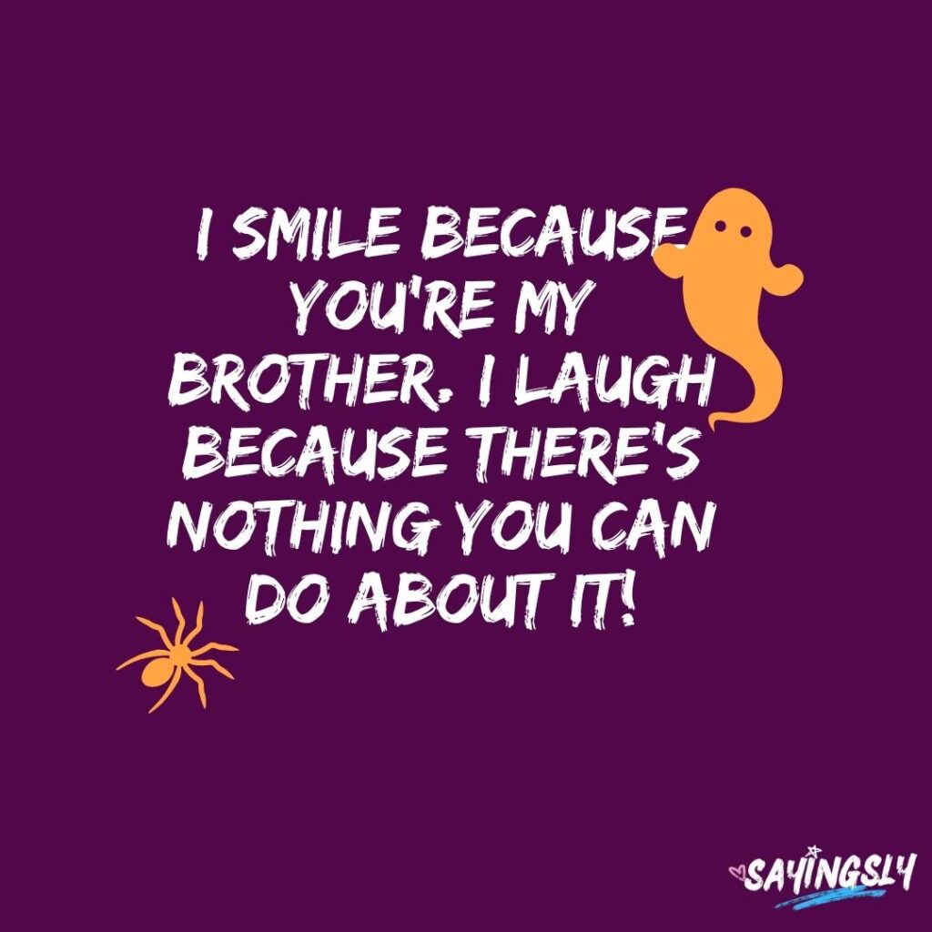 Funny Bhai Behan Quotes