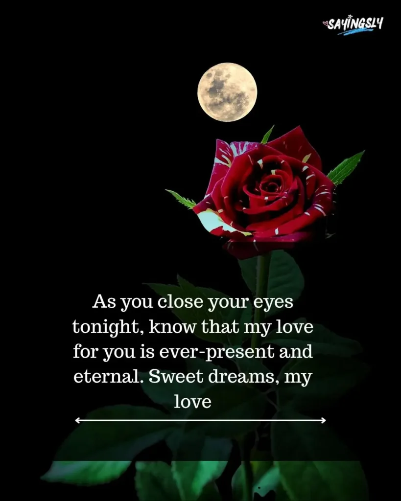 Romantic Good Night Love Quotes For Her