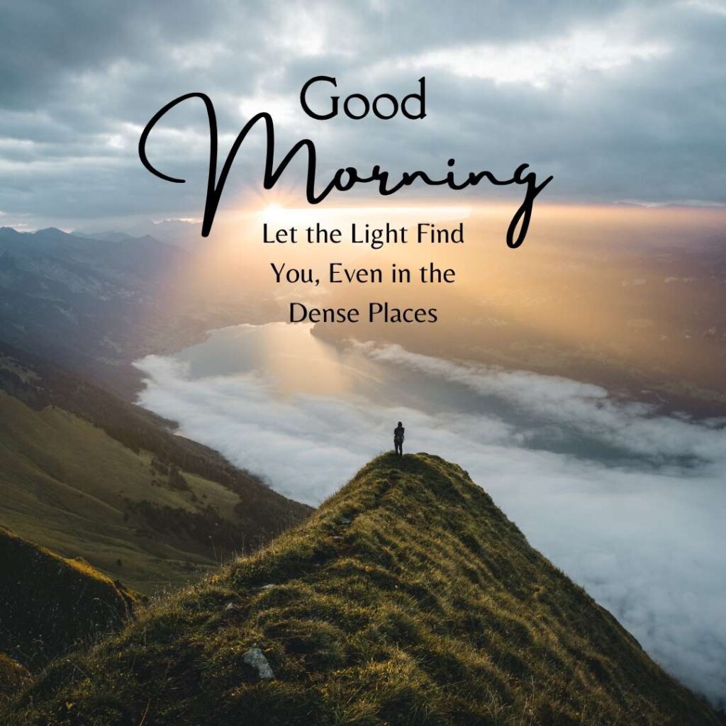 Beautiful Sunrise Good Morning Images with Nature