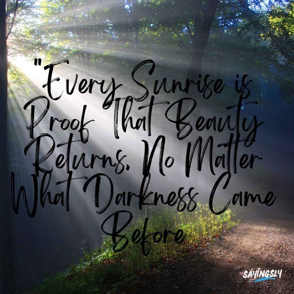 Beautiful Sunrise Good Morning Images with Nature 