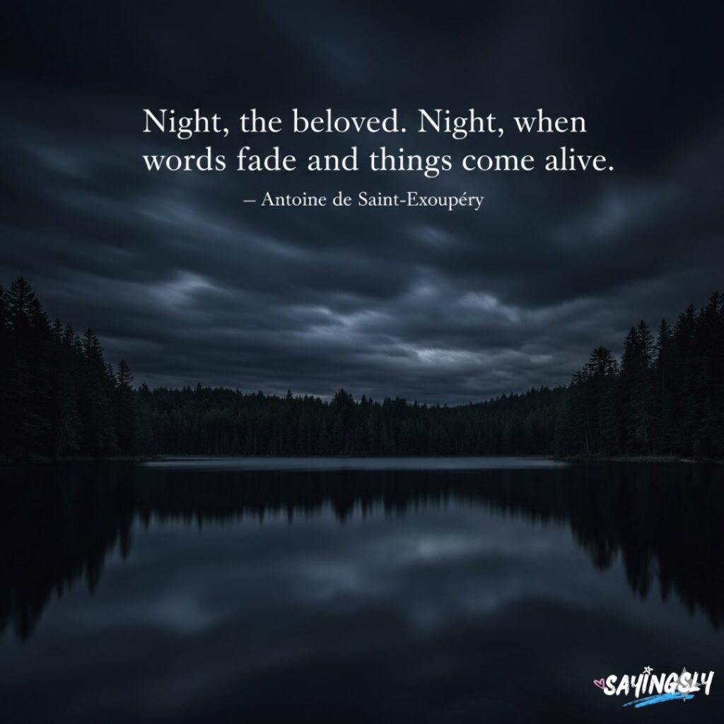 Dark Sky Quotes for Moody Nights