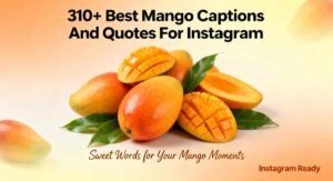 310+ Best Mango Captions And Quotes For Instagram